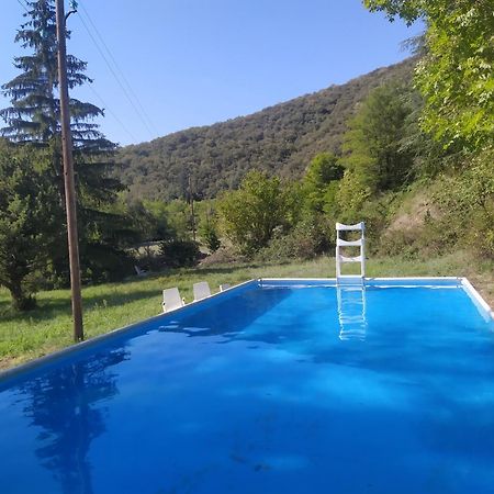 La Grenouille Bed & Breakfast Valleraugue Luaran gambar
