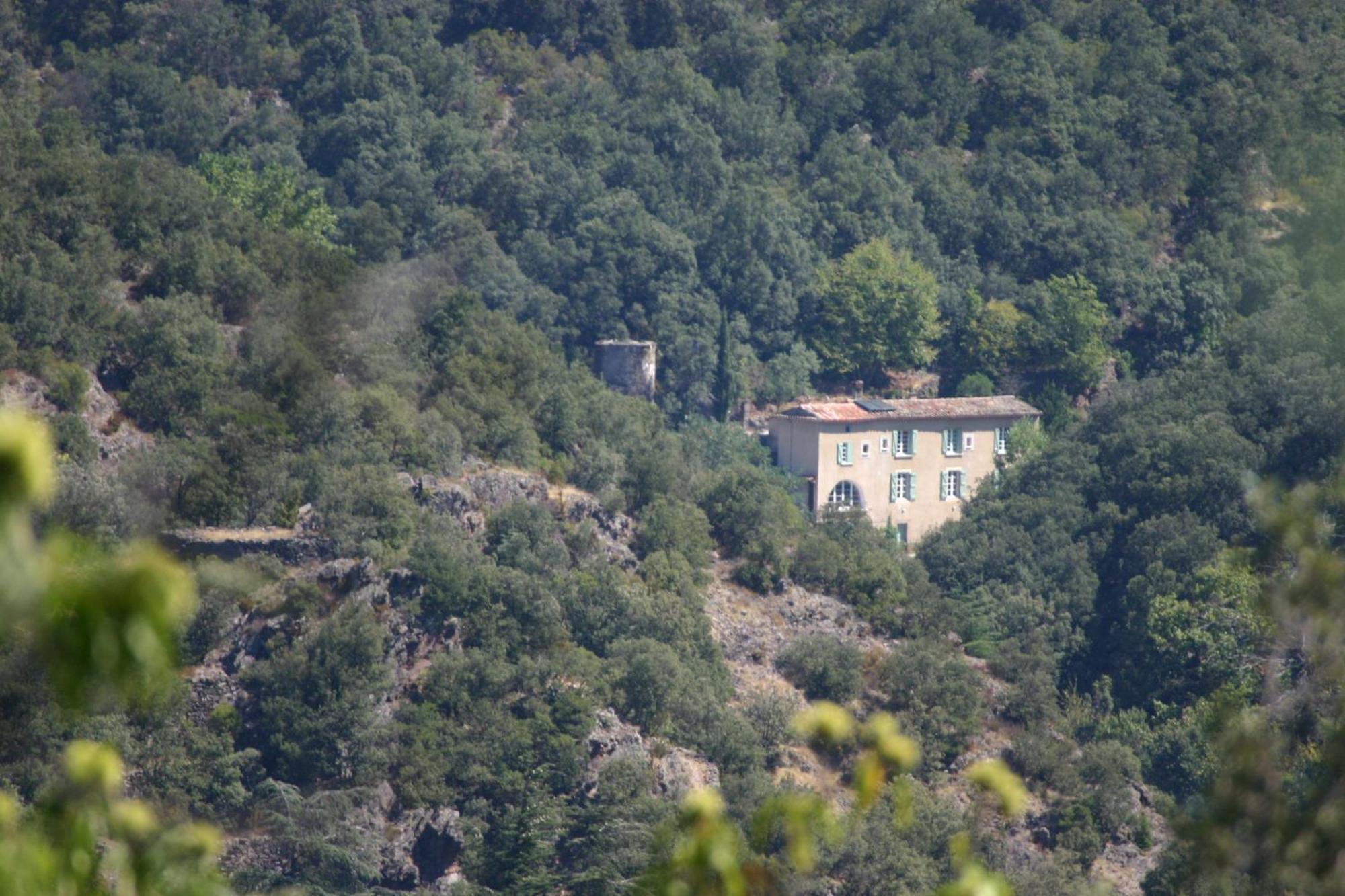 La Grenouille Bed & Breakfast Valleraugue Luaran gambar